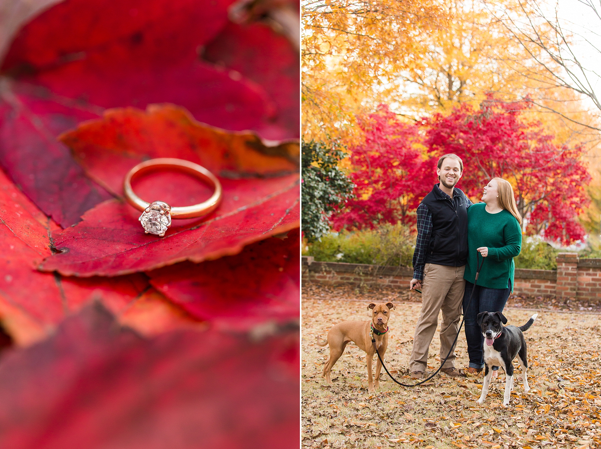 fall engagement dogs athens