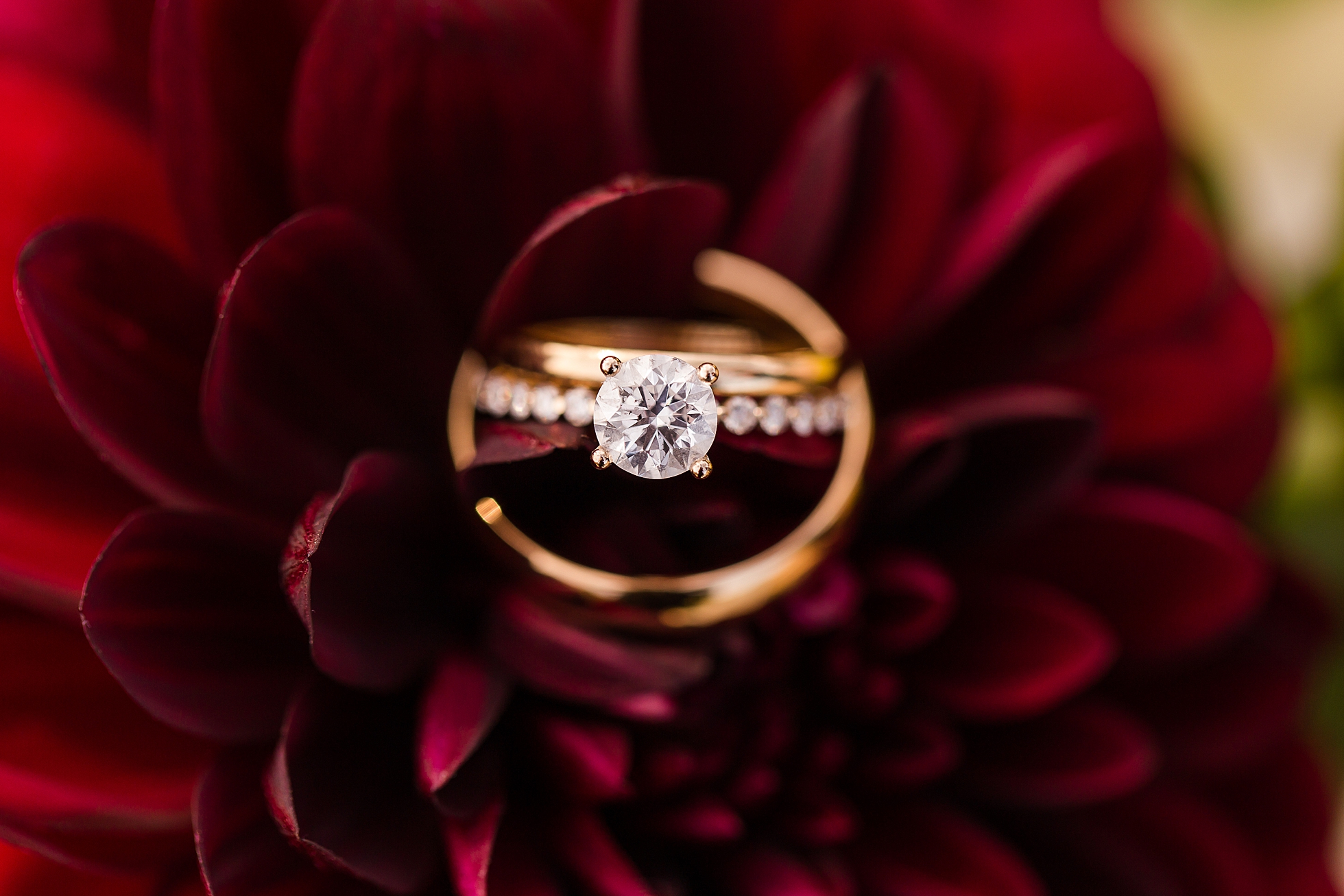 atlanta jeweler wedding rings photographer