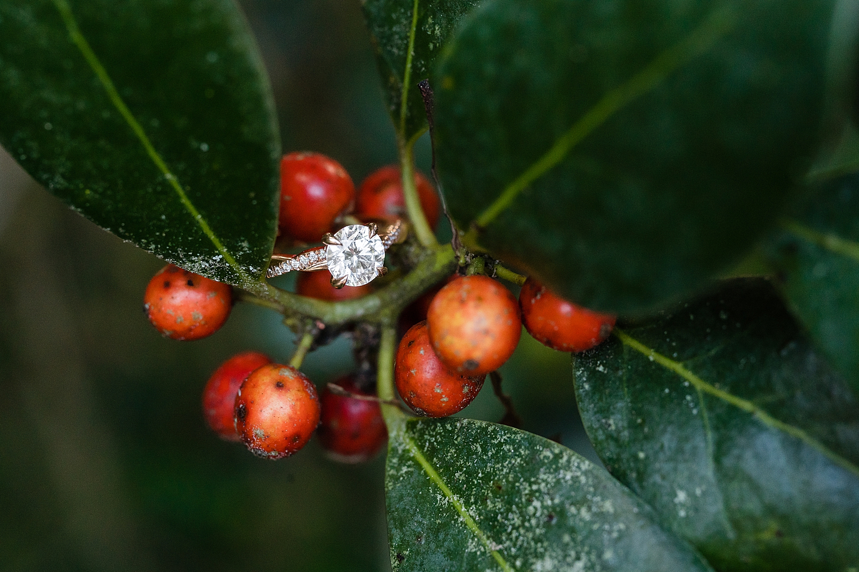 engagement ring georgia berries