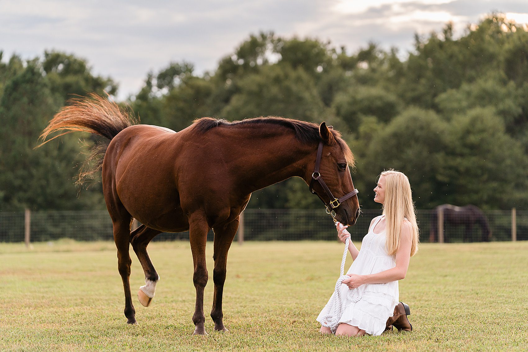 senior photos with horse on farm barn