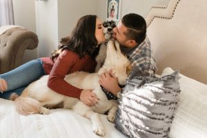 home lifestyle dog engagement couple