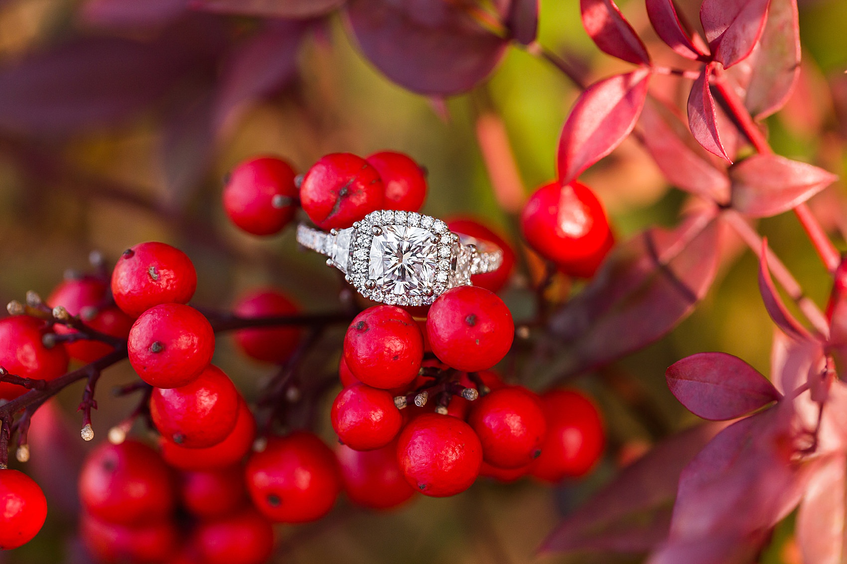 engagement ring on red berries