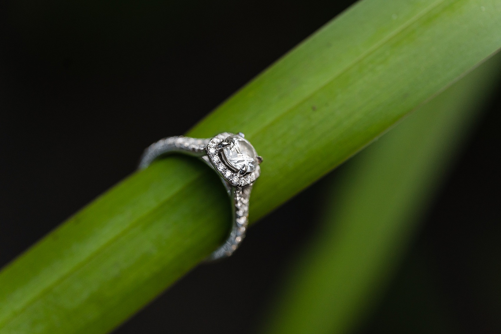 engagement ring diamond