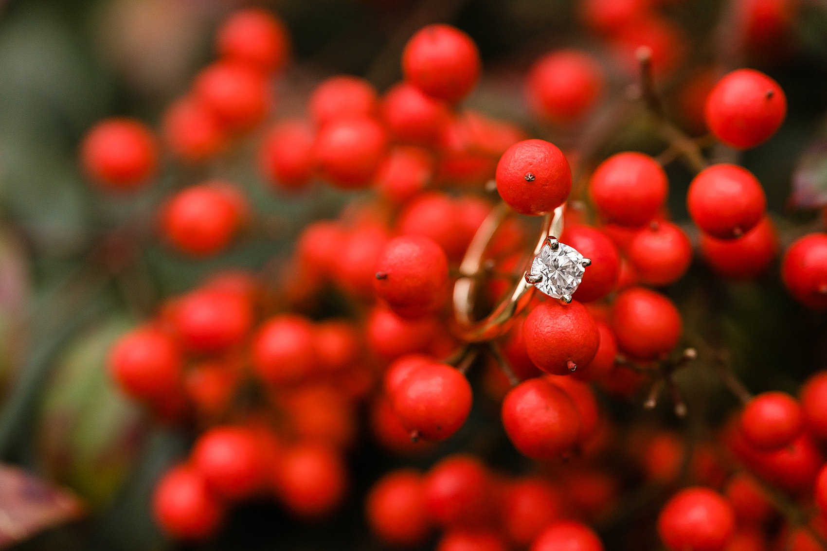 engagement ring red berries