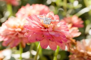 pink flower engagement diamond ring