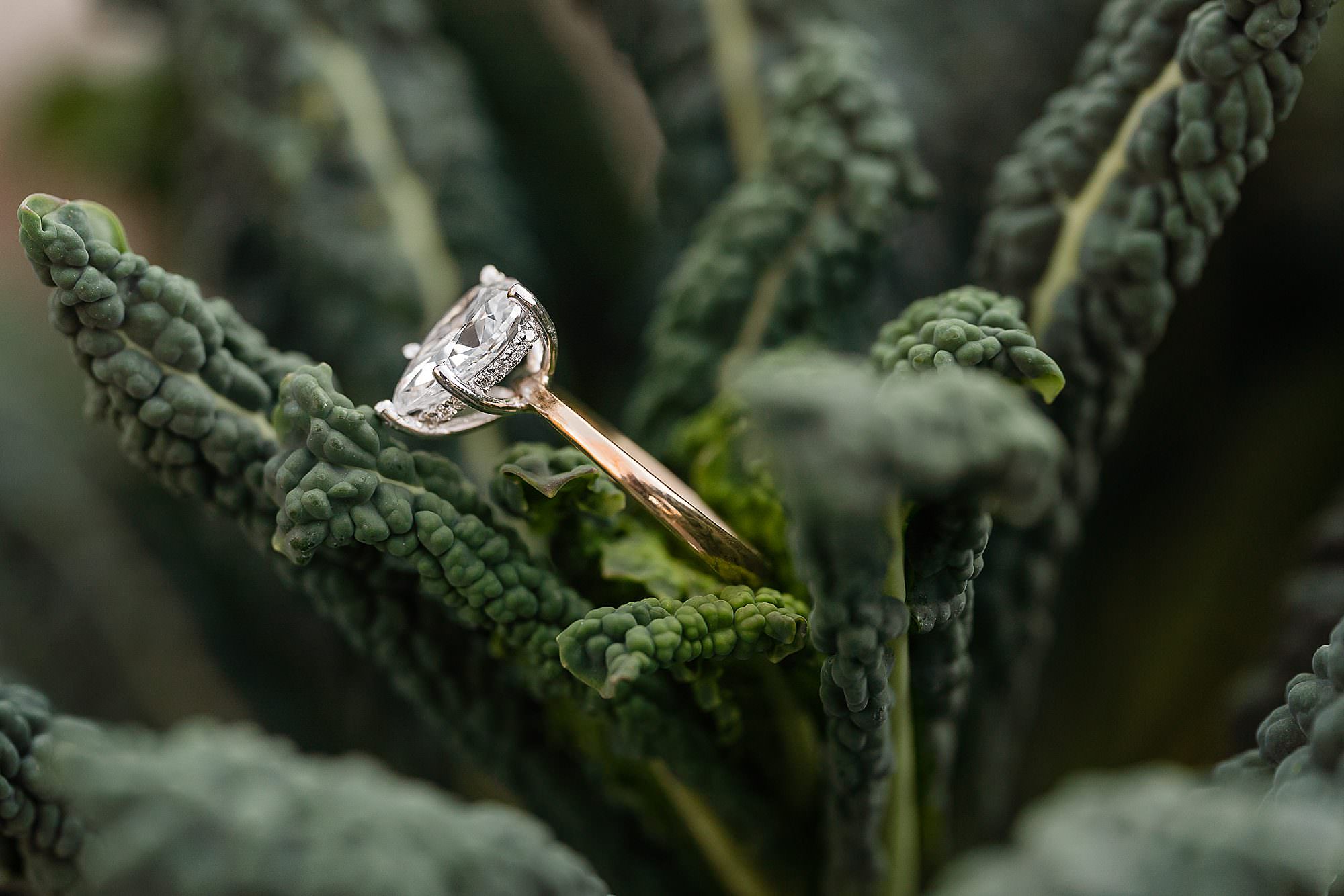 hidden halo engagement ring pear