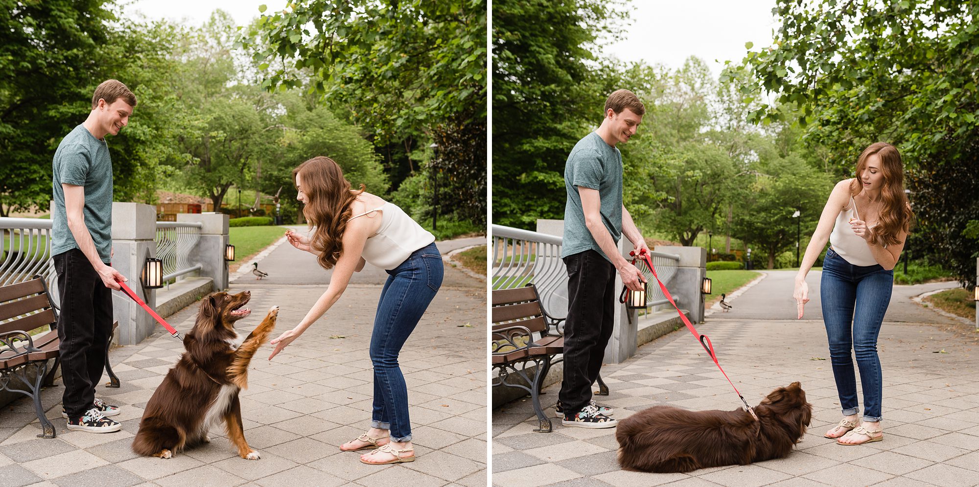dog tricks engagement photos