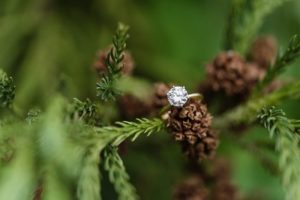 engagement ring pine cones