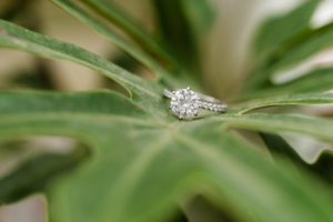 engagement ring greenhouse