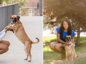 senior photos with dog