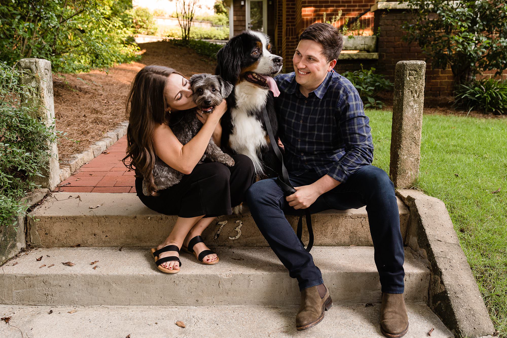 dogs front porch engagement