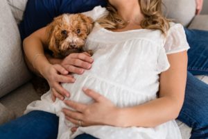 maternity dog lifestyle home
