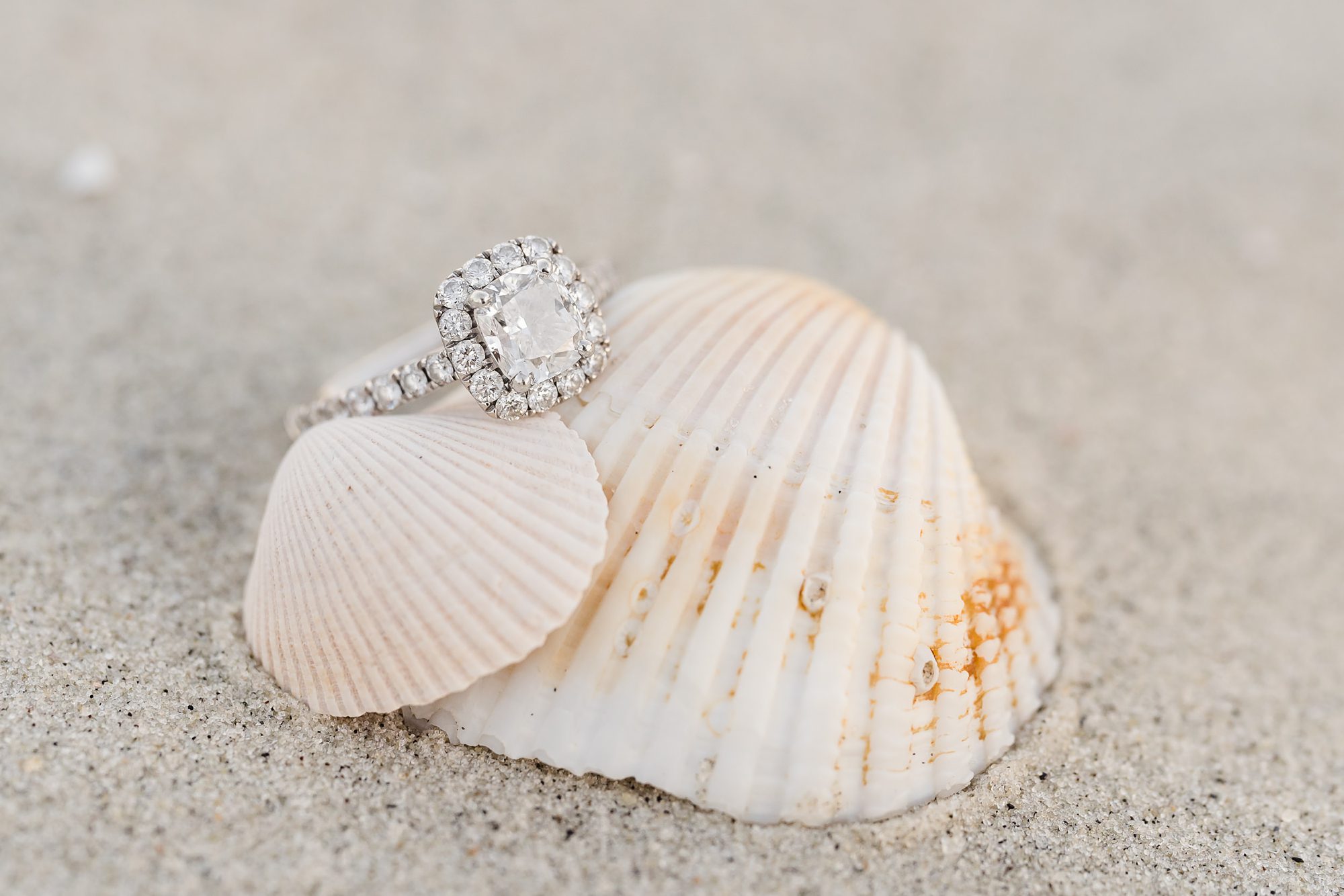 engagement ring beach shell