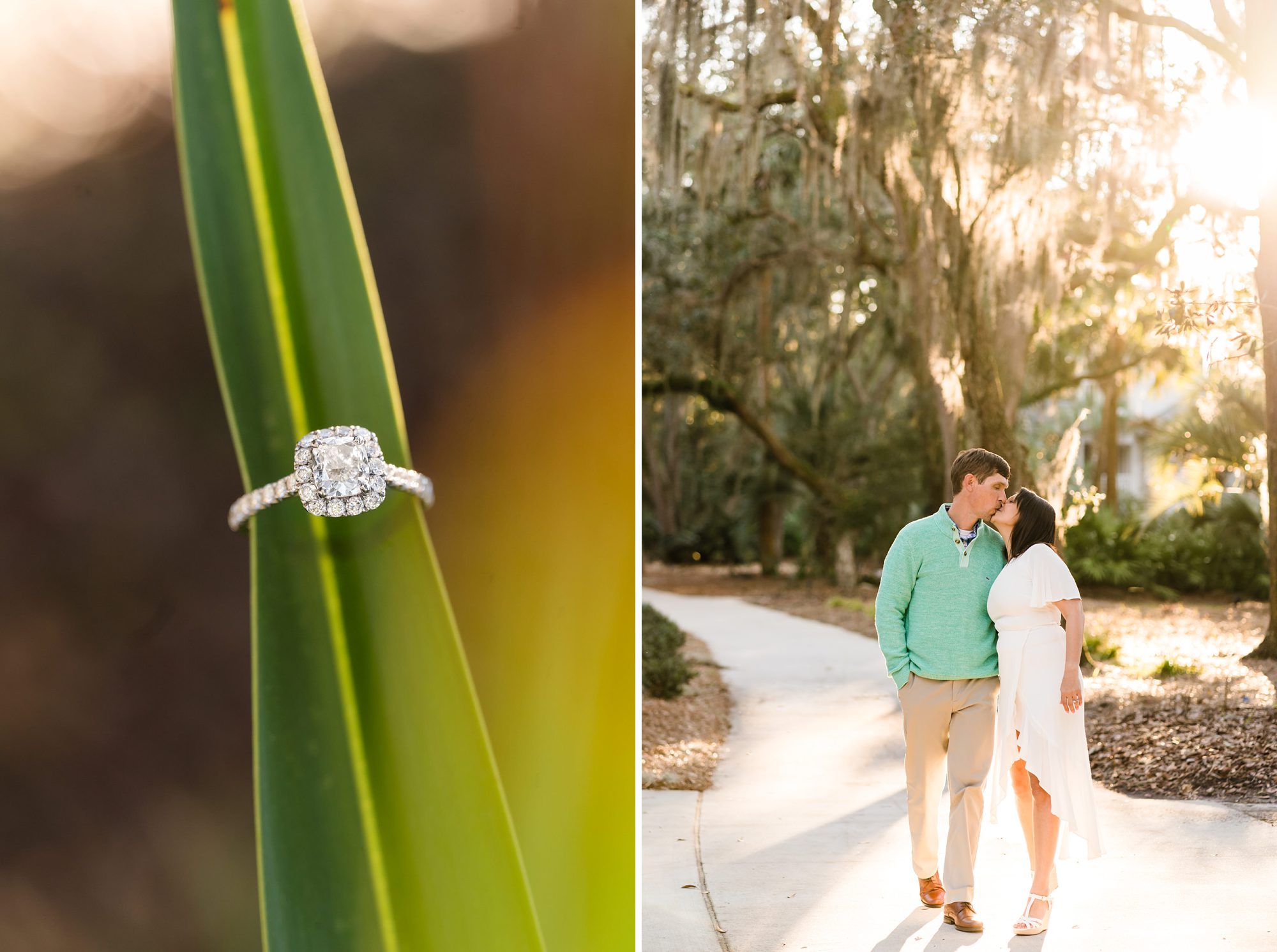 engagement palm coastal low country