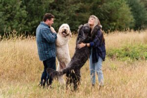 field dog pet photographer candid