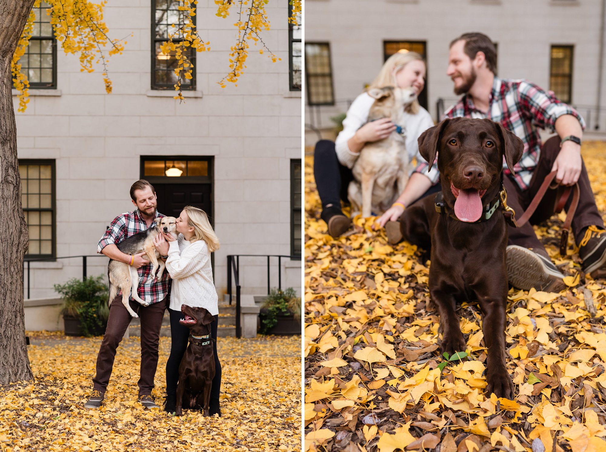 fall engagement ginkgo trees athens dog