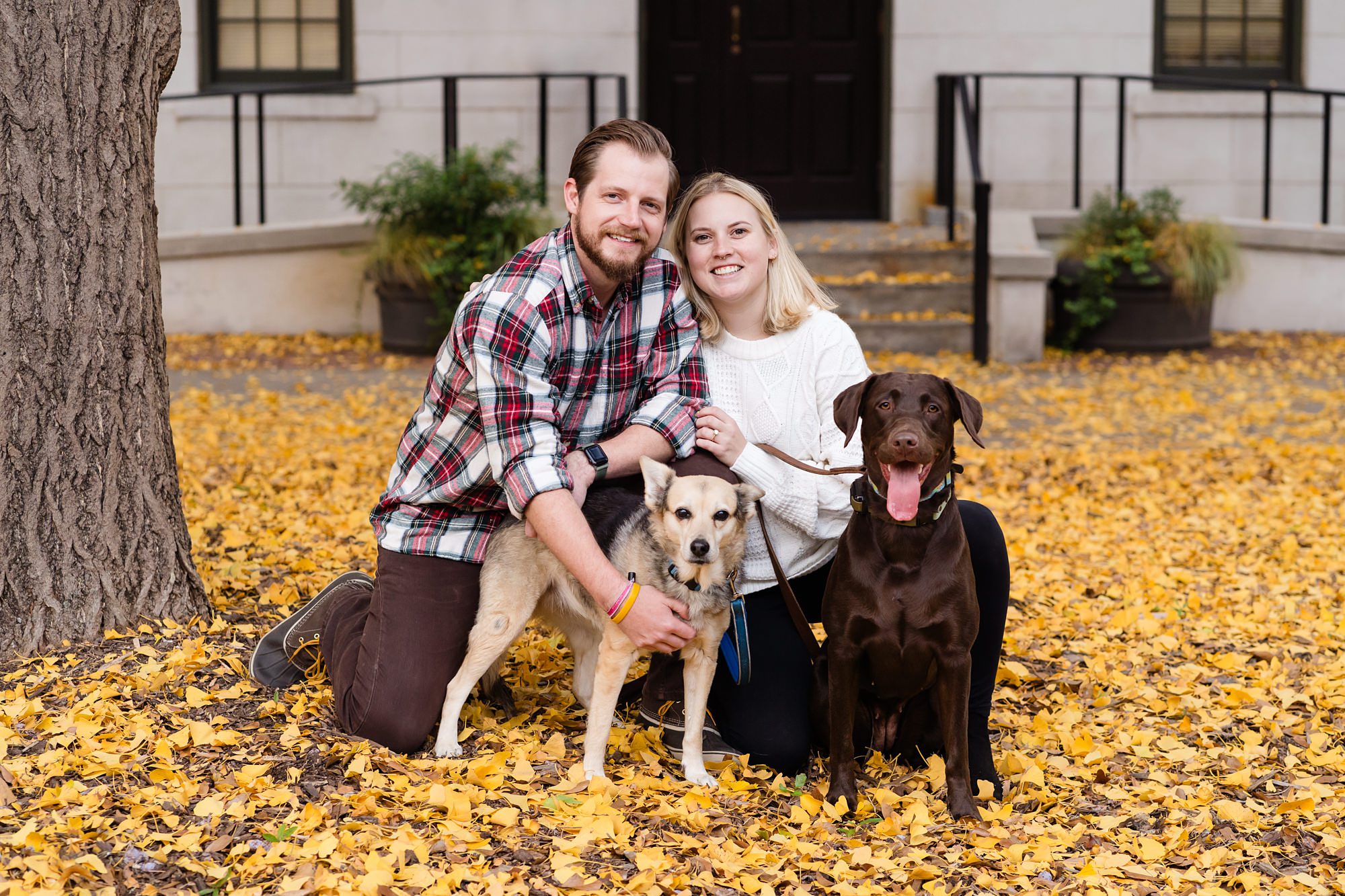 fall engagement ginkgo trees athens dog