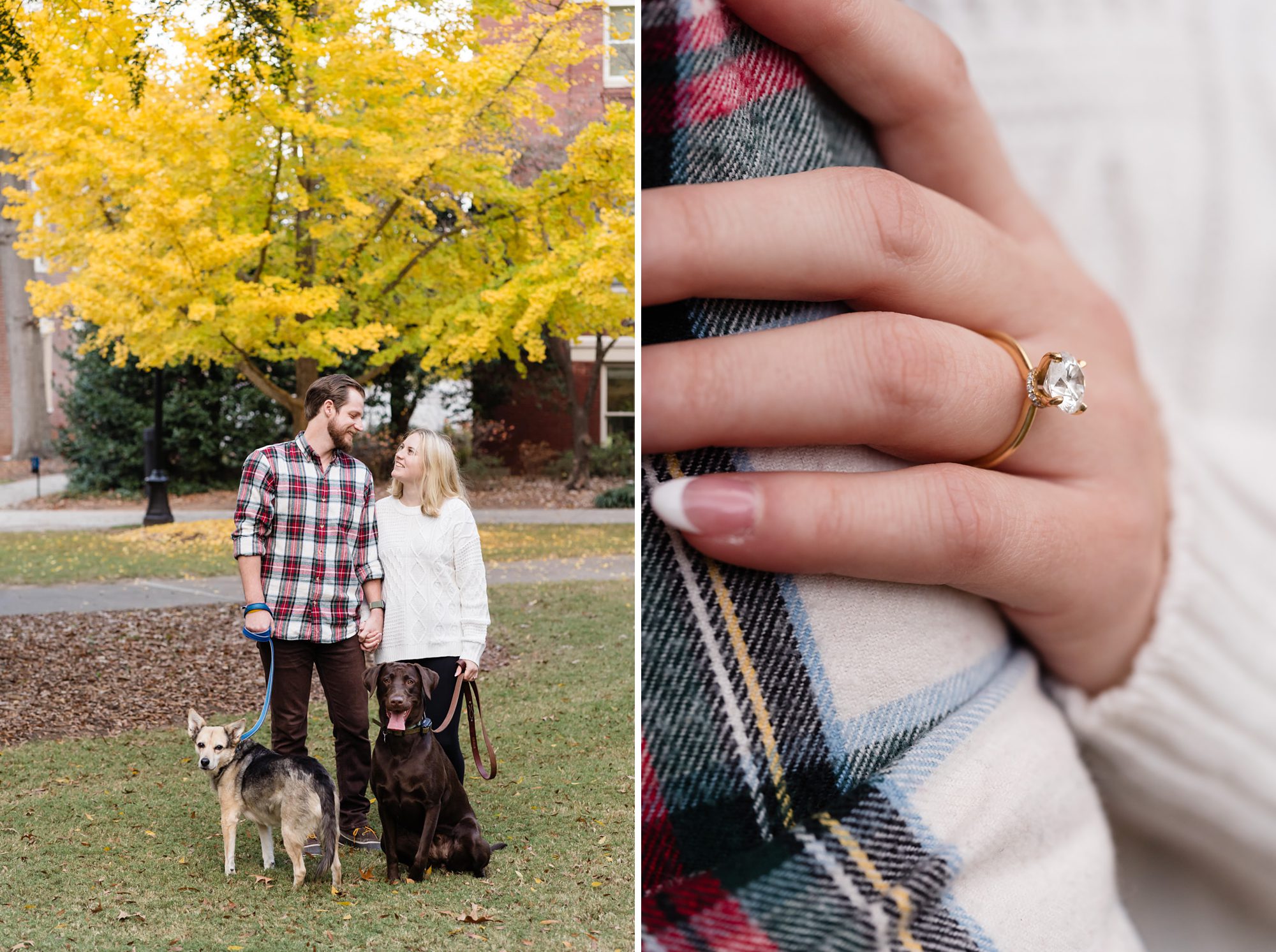fall engagement ring ginkgo trees