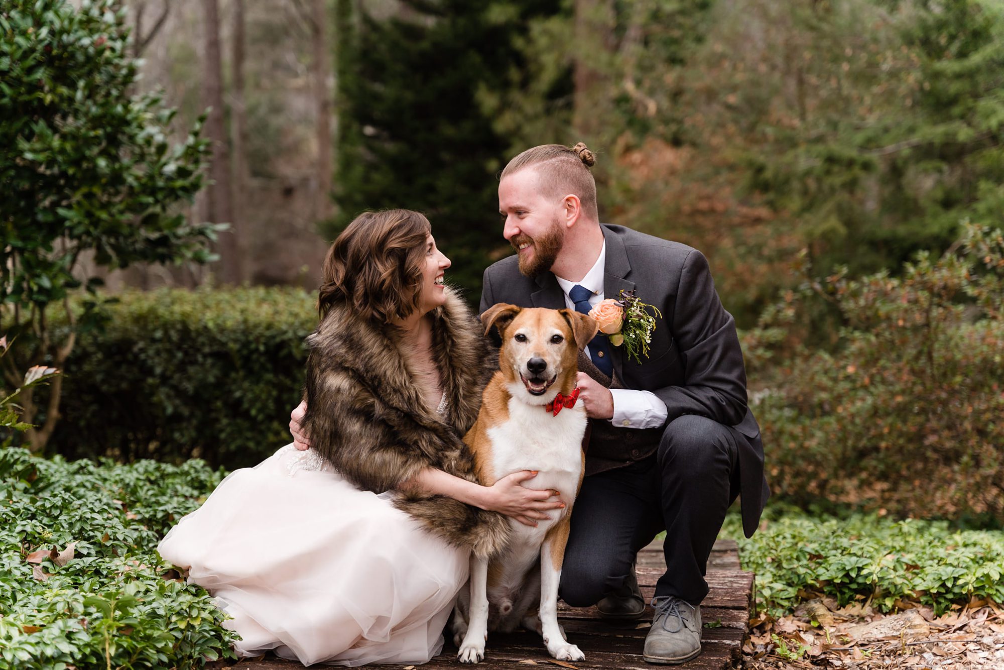 wedding bride groom dog