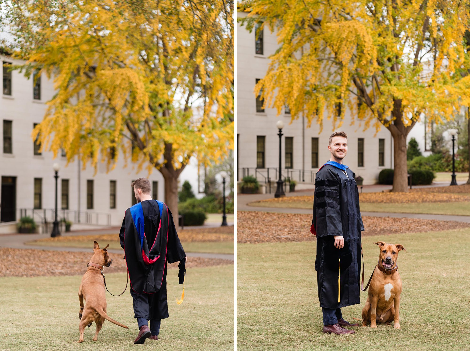 ginkgo tree phd doctorate senior graduation dog
