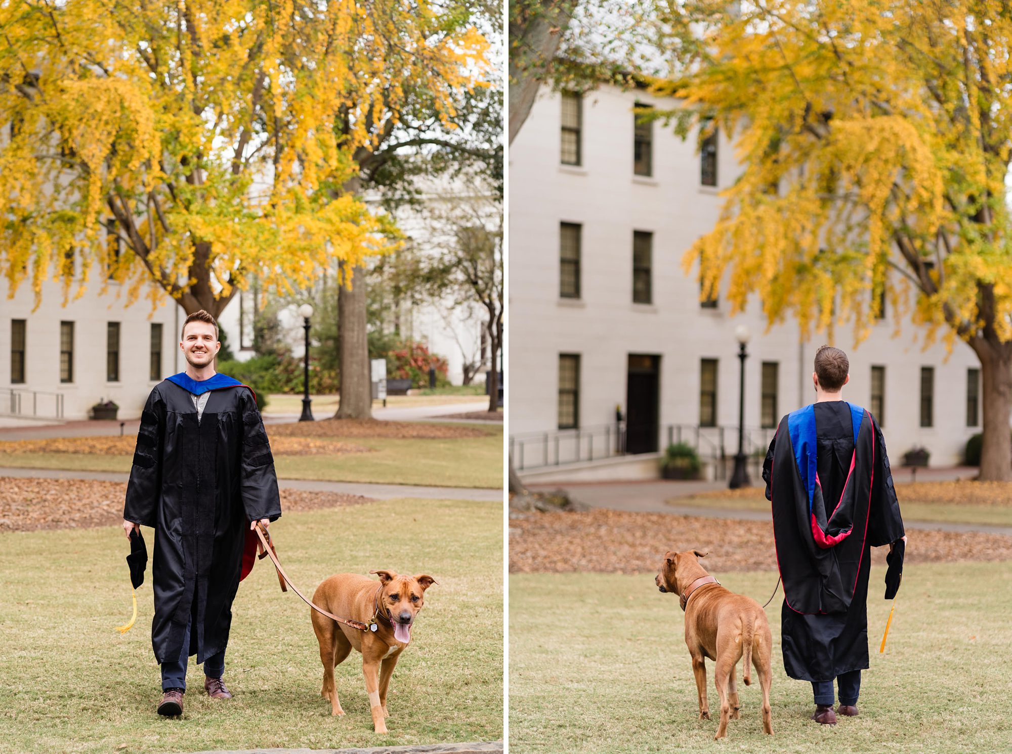 fall ginkgo senior graduation dog