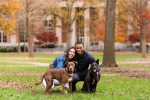 fall dogs engagement