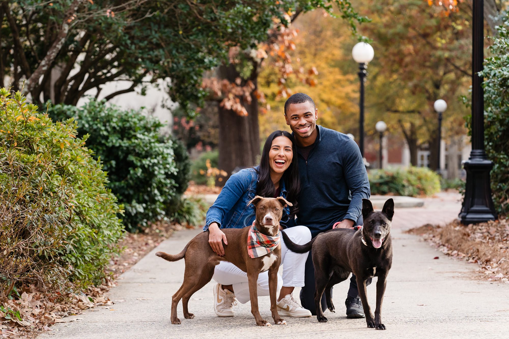 dogs couple fall north campus