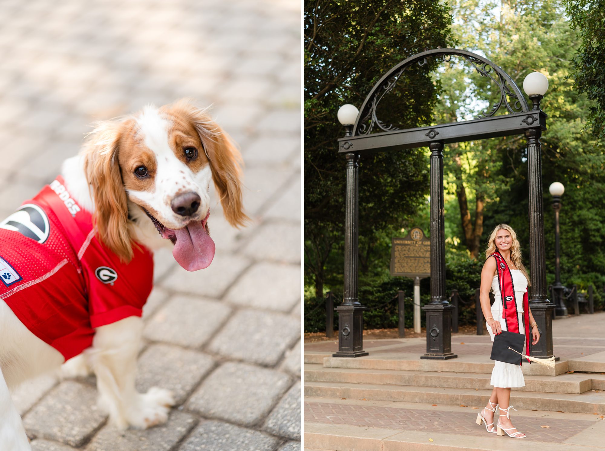 university georgia arch graduation photos dog