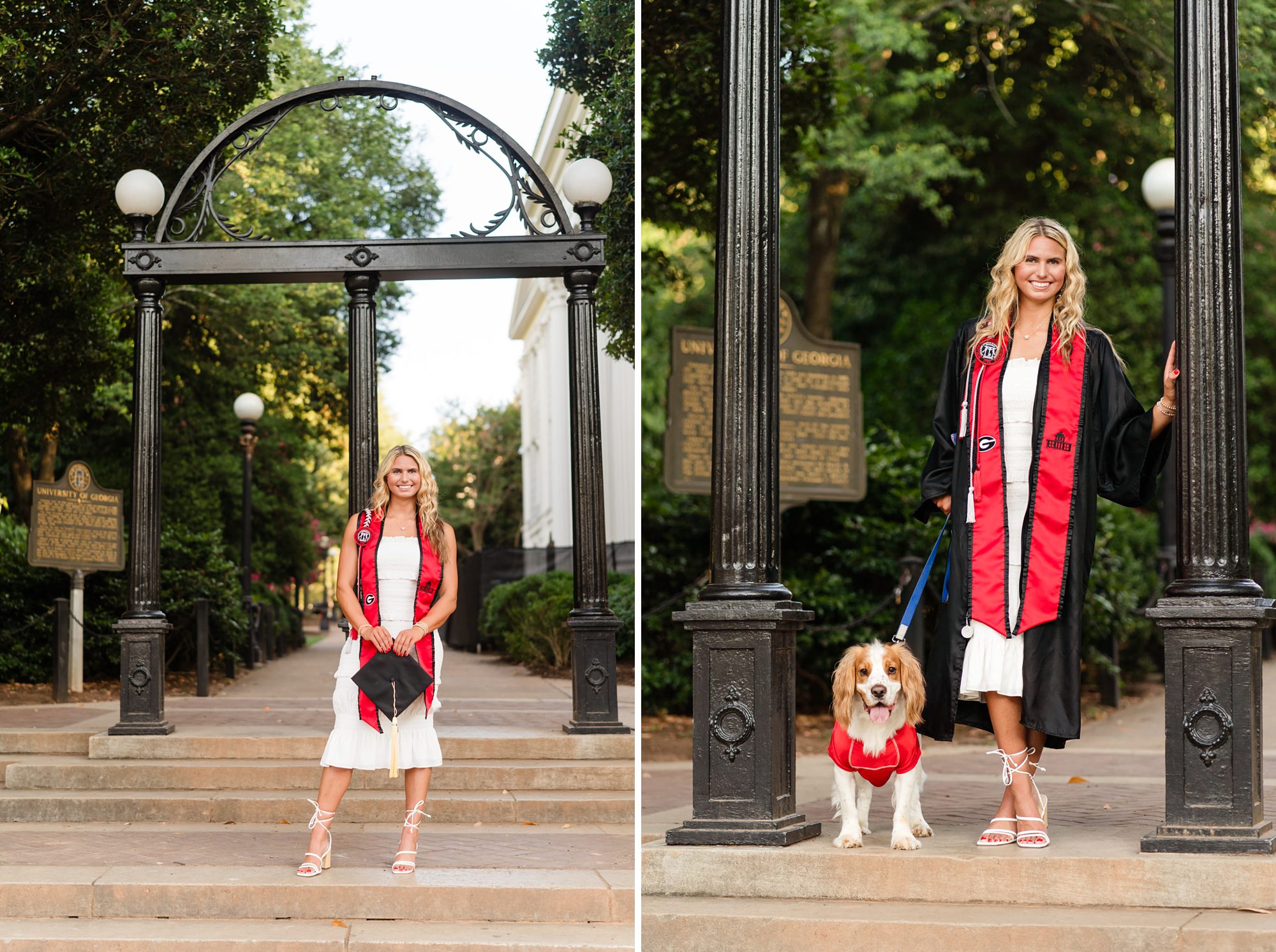 university georgia arch graduation photos dog