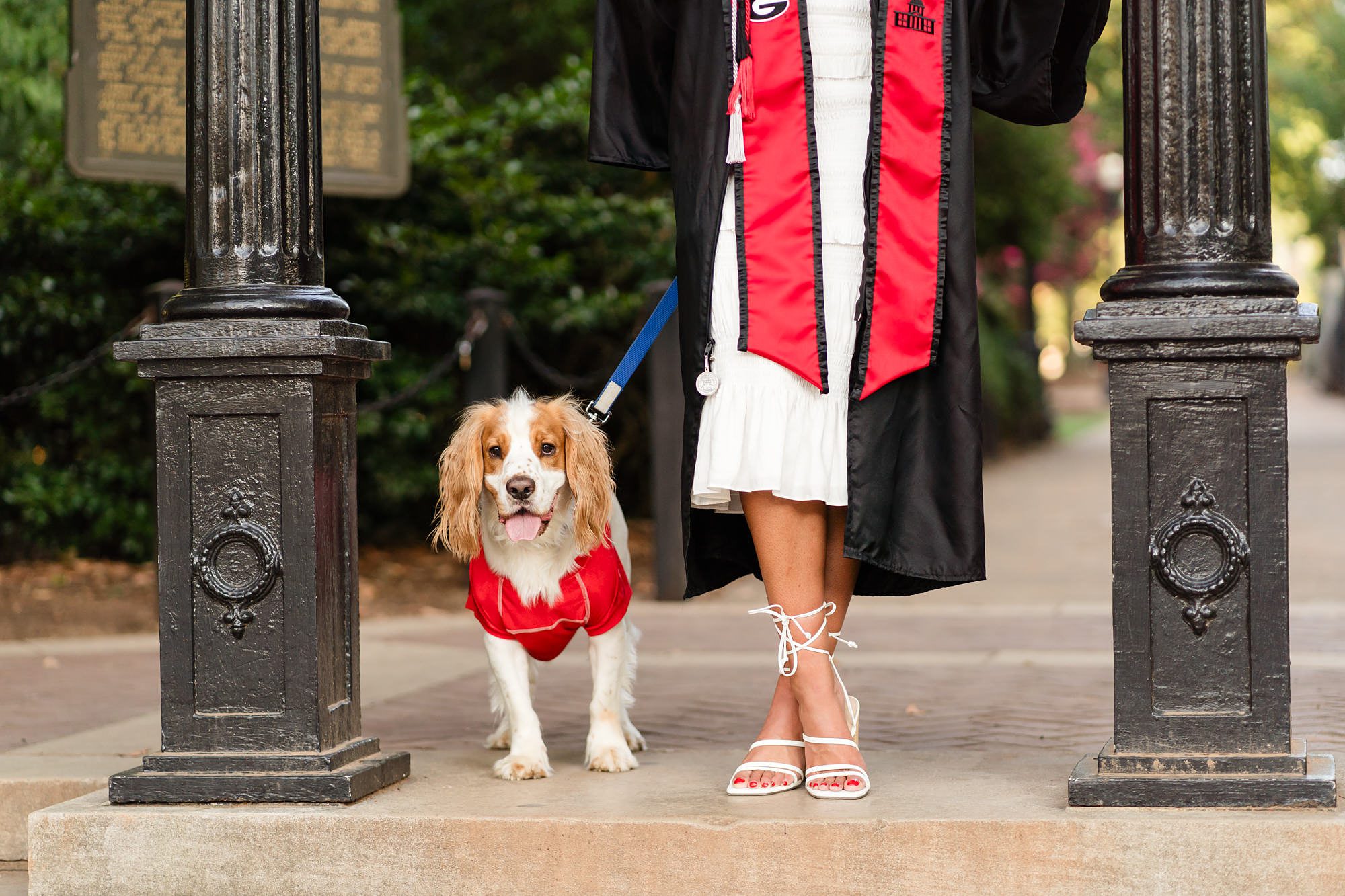 university georgia arch graduation photos dog