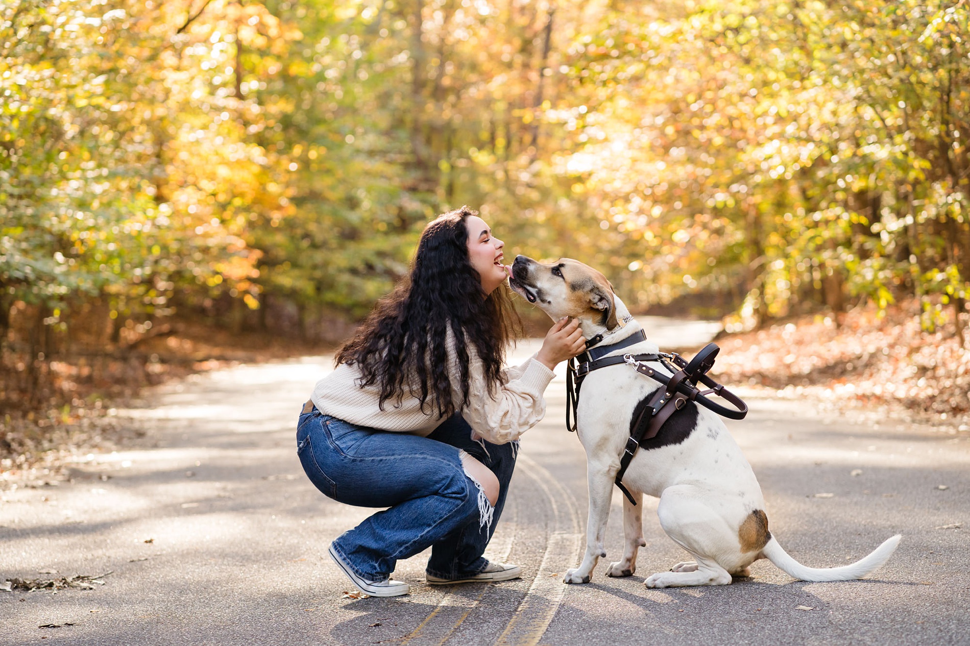 fall dog pet photography senior