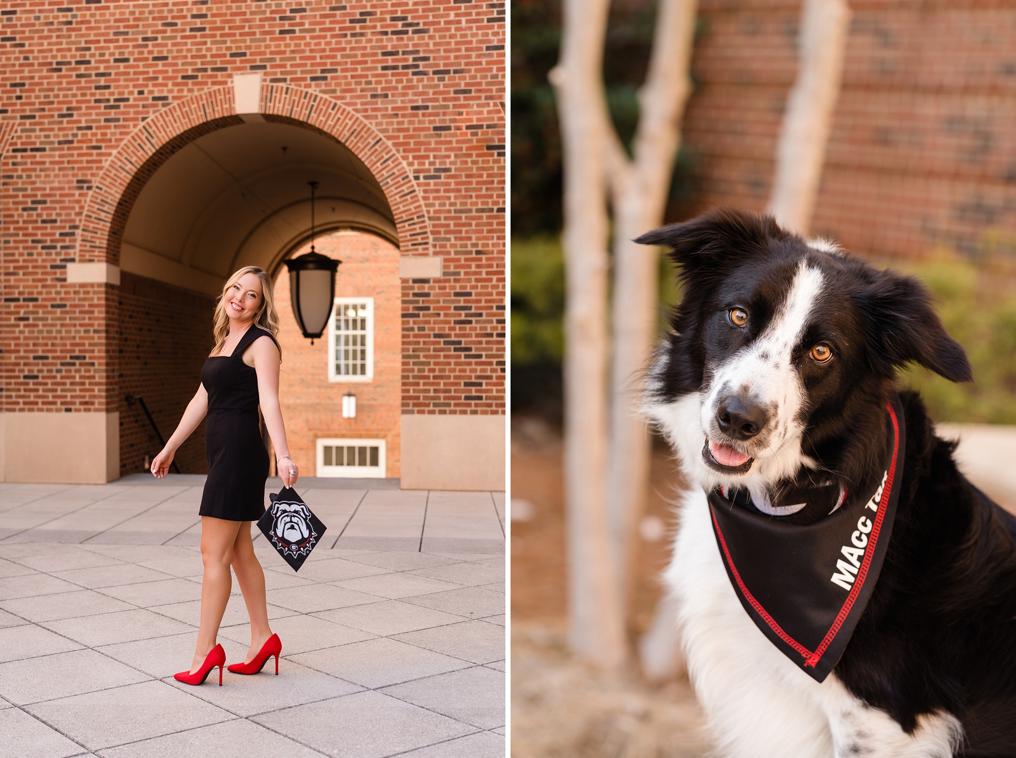 georgia senior dog pet