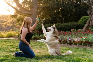 candid dog photography athens ga