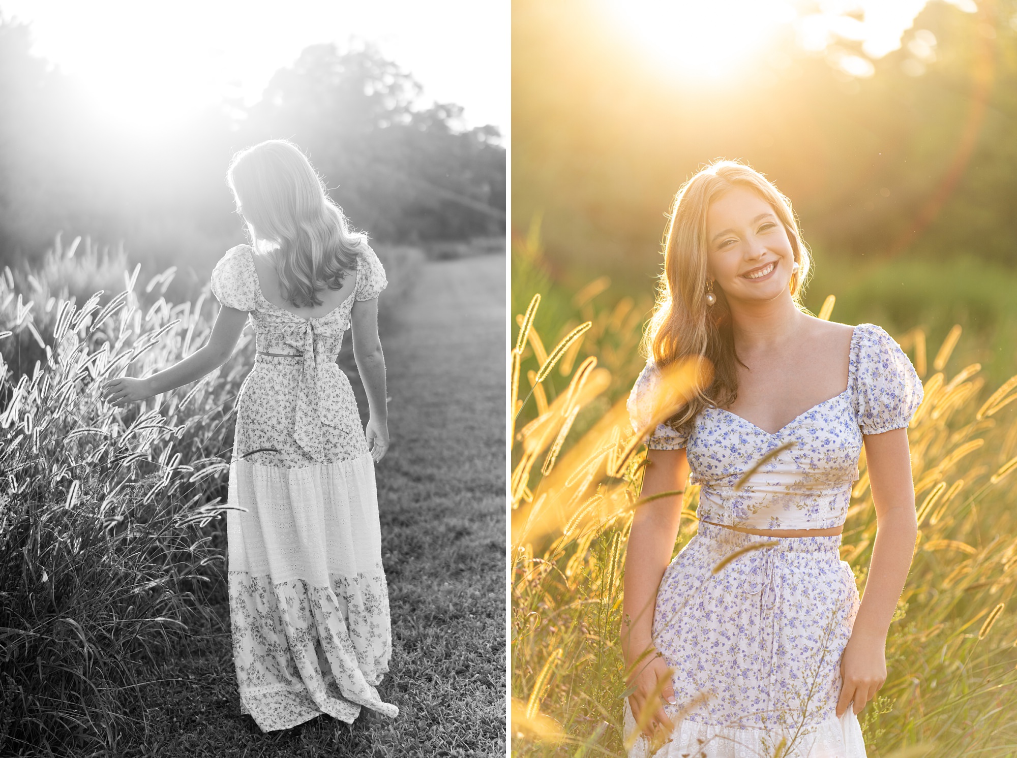 field sunset golden senior georgia oconee