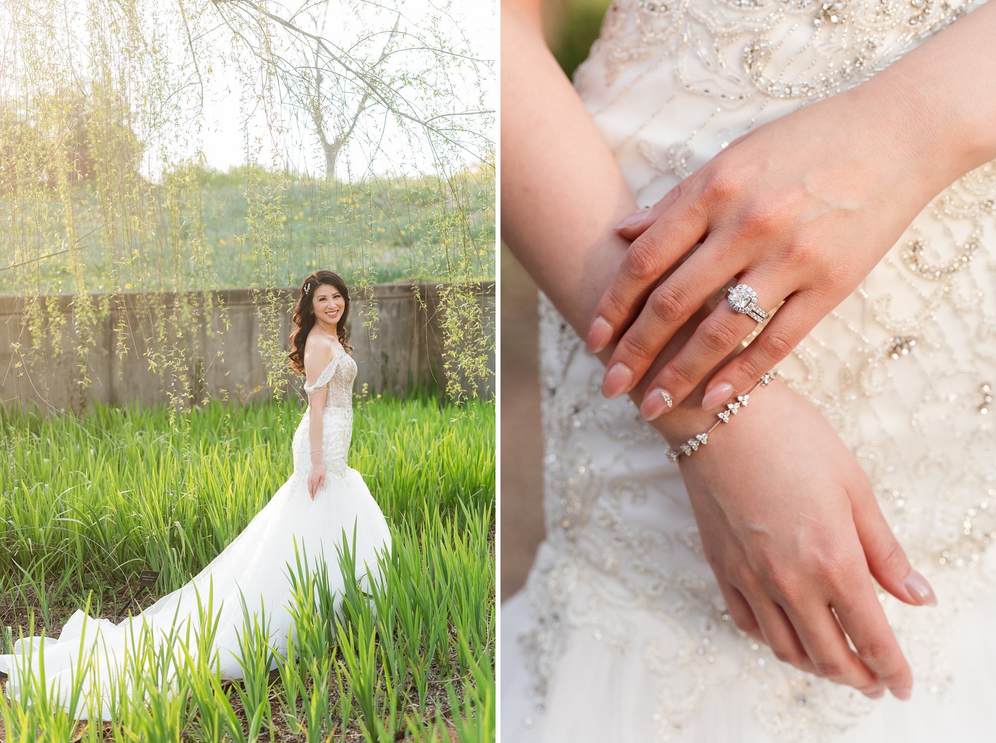 bridal portraits botanical gardens athens willow tree
