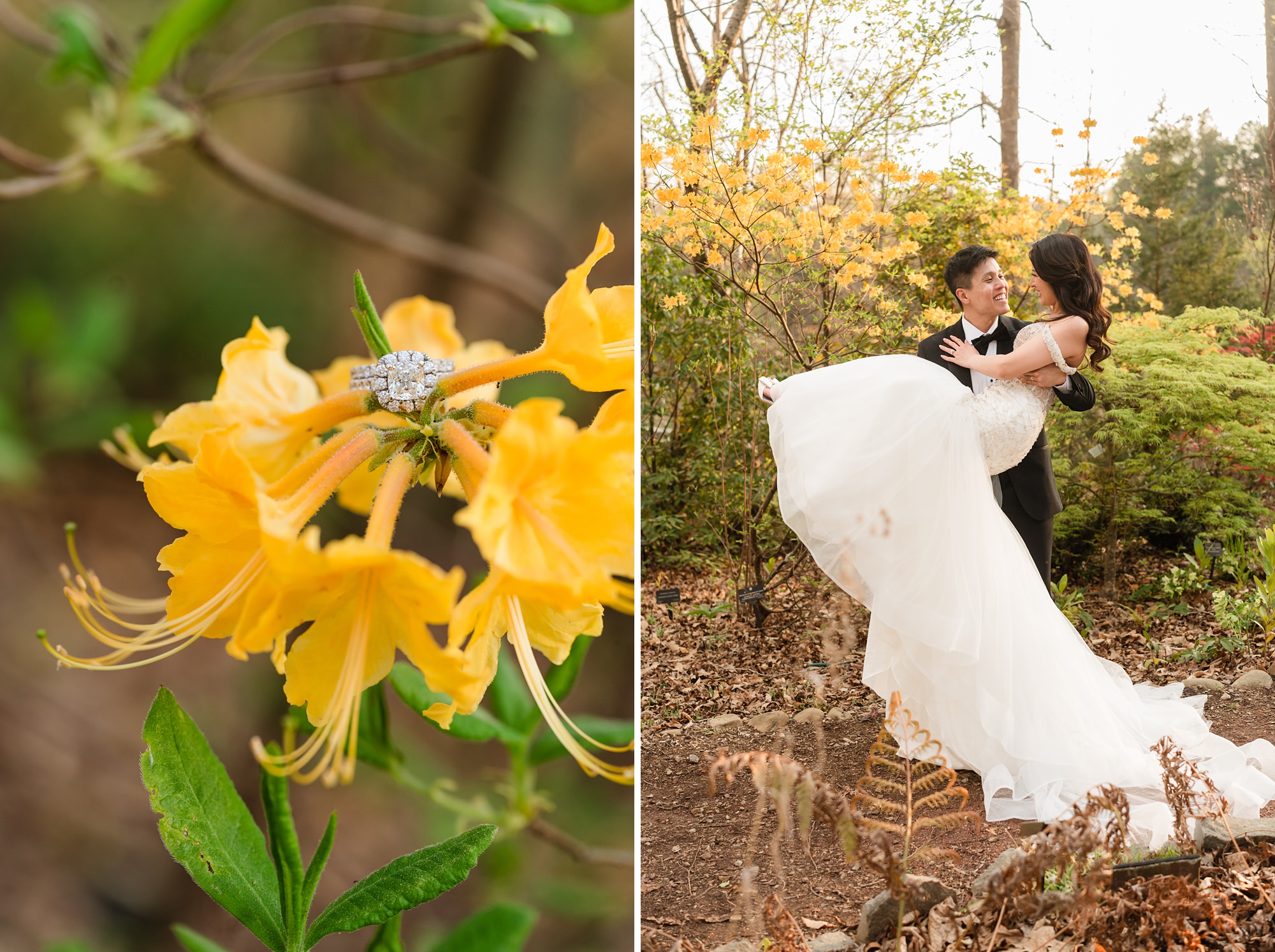 state botanical garden georgia elopement