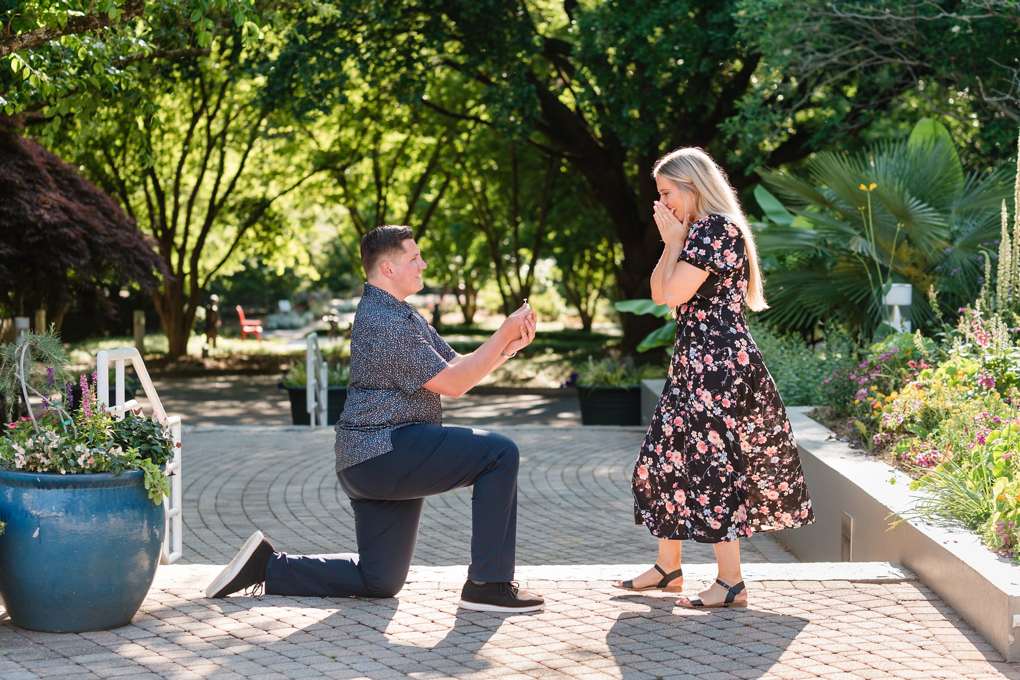 surprise proposal botanical garden athens