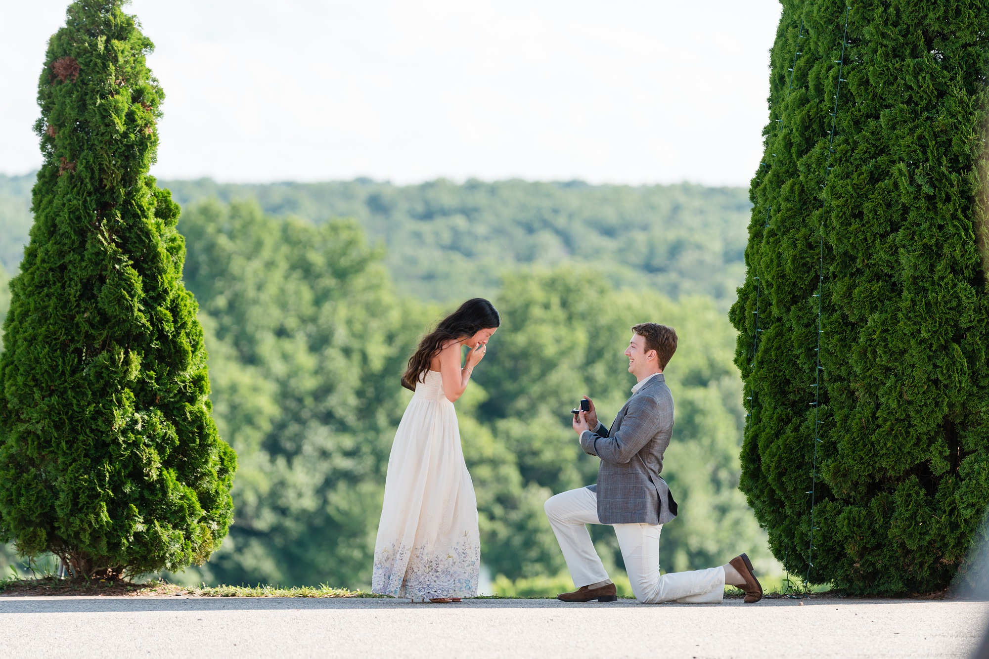 north ga montaluce winery proposal surprise