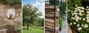 montaluce winery dahlonega