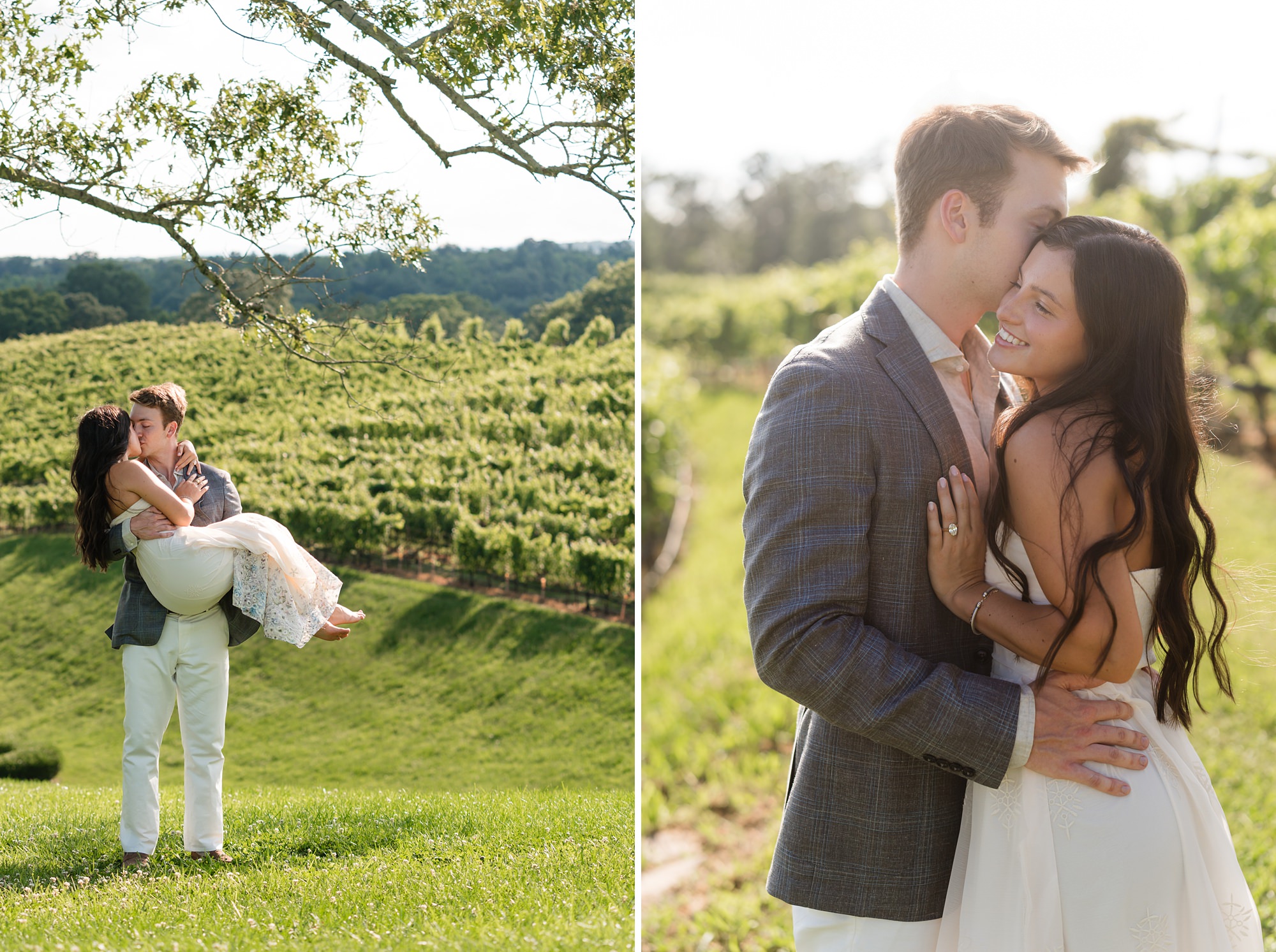 montaluce winery vineyard proposal