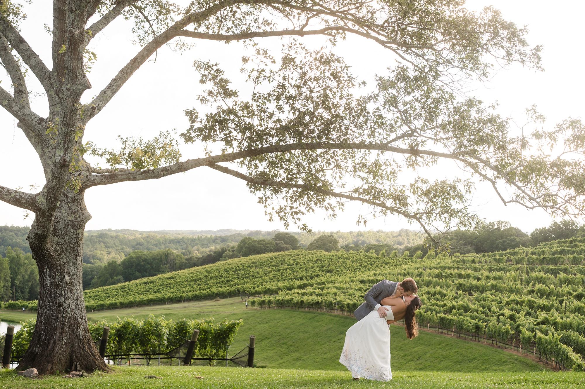 montaluce winery engagement proposal surprise