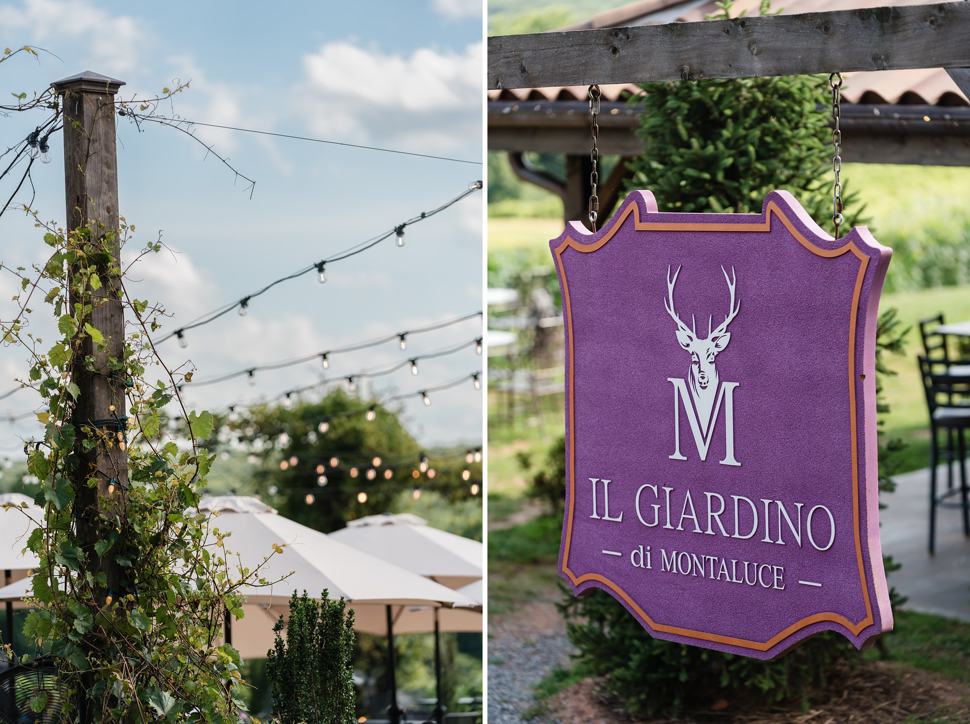 montaluce winery dahlonega garden