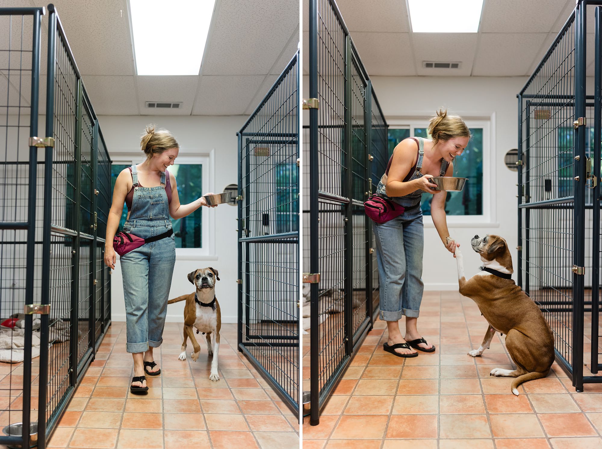 foster dogs athens georgia photographer