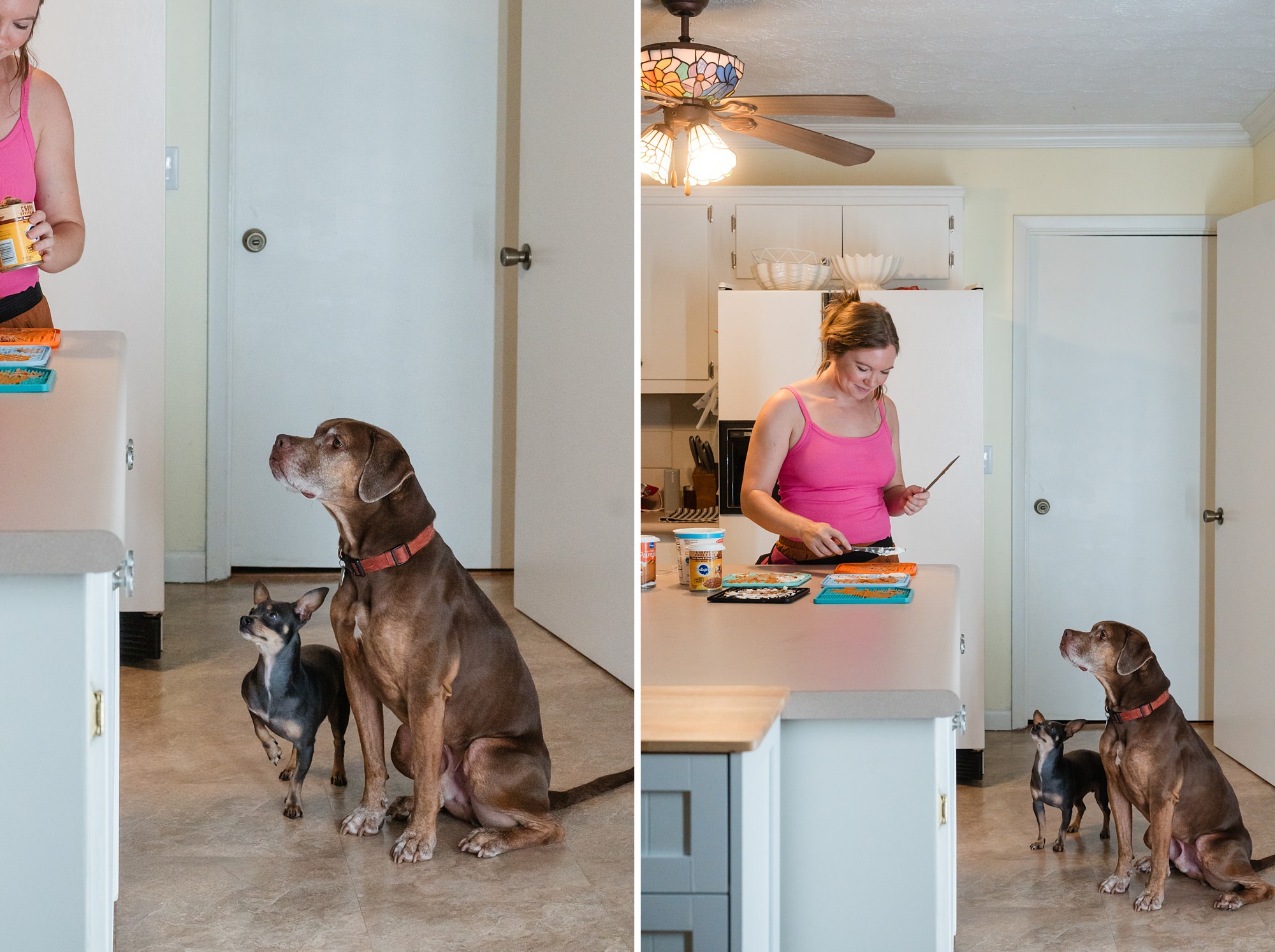 lifestyle home dogs photographer georgia
