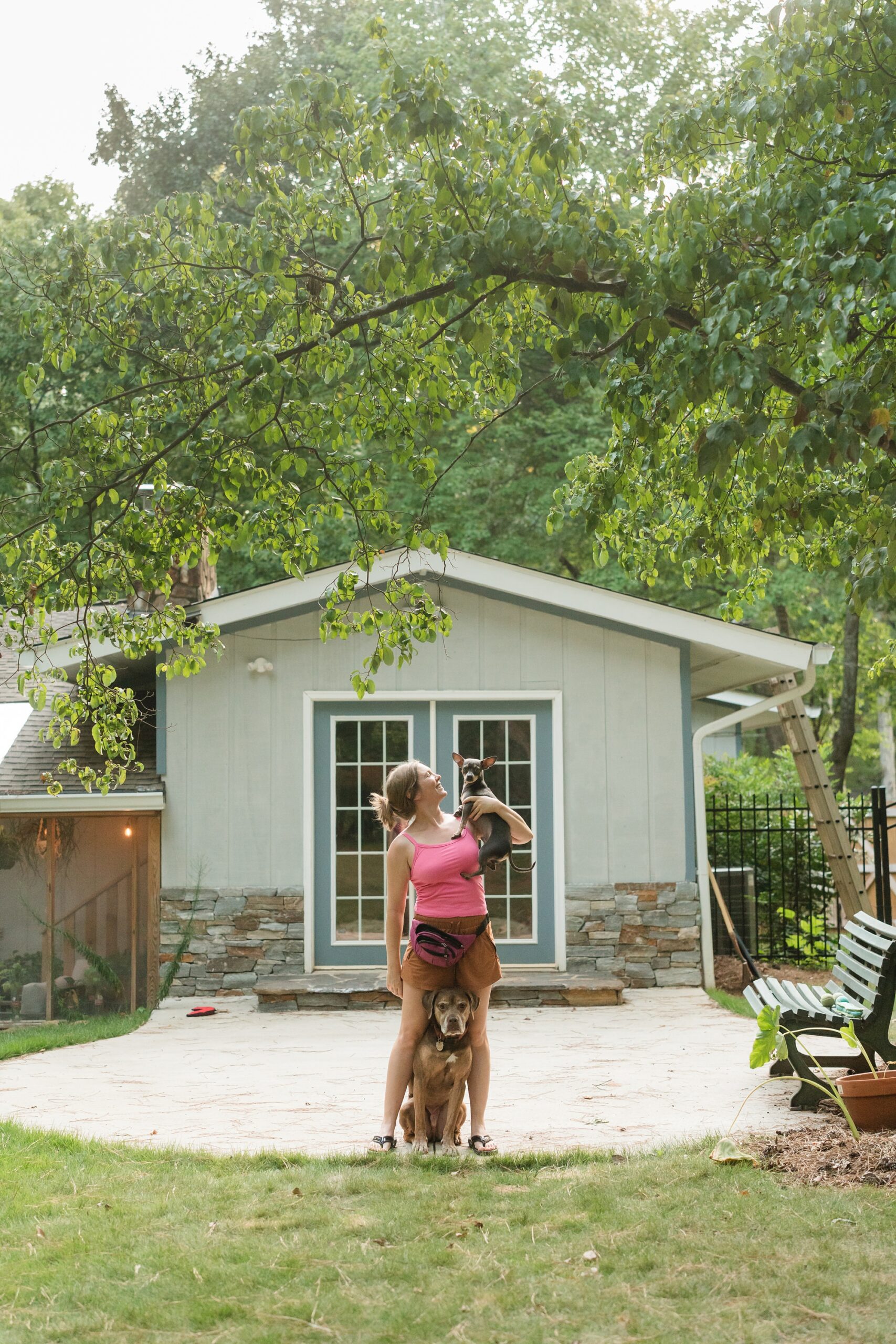 lifestyle home dogs photographer georgia