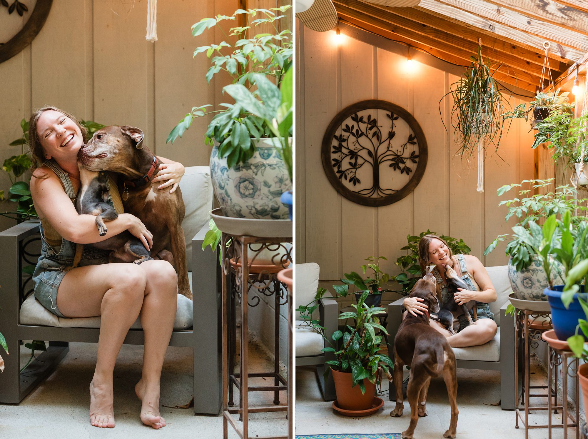 lifestyle home athens georgia photographer dogs