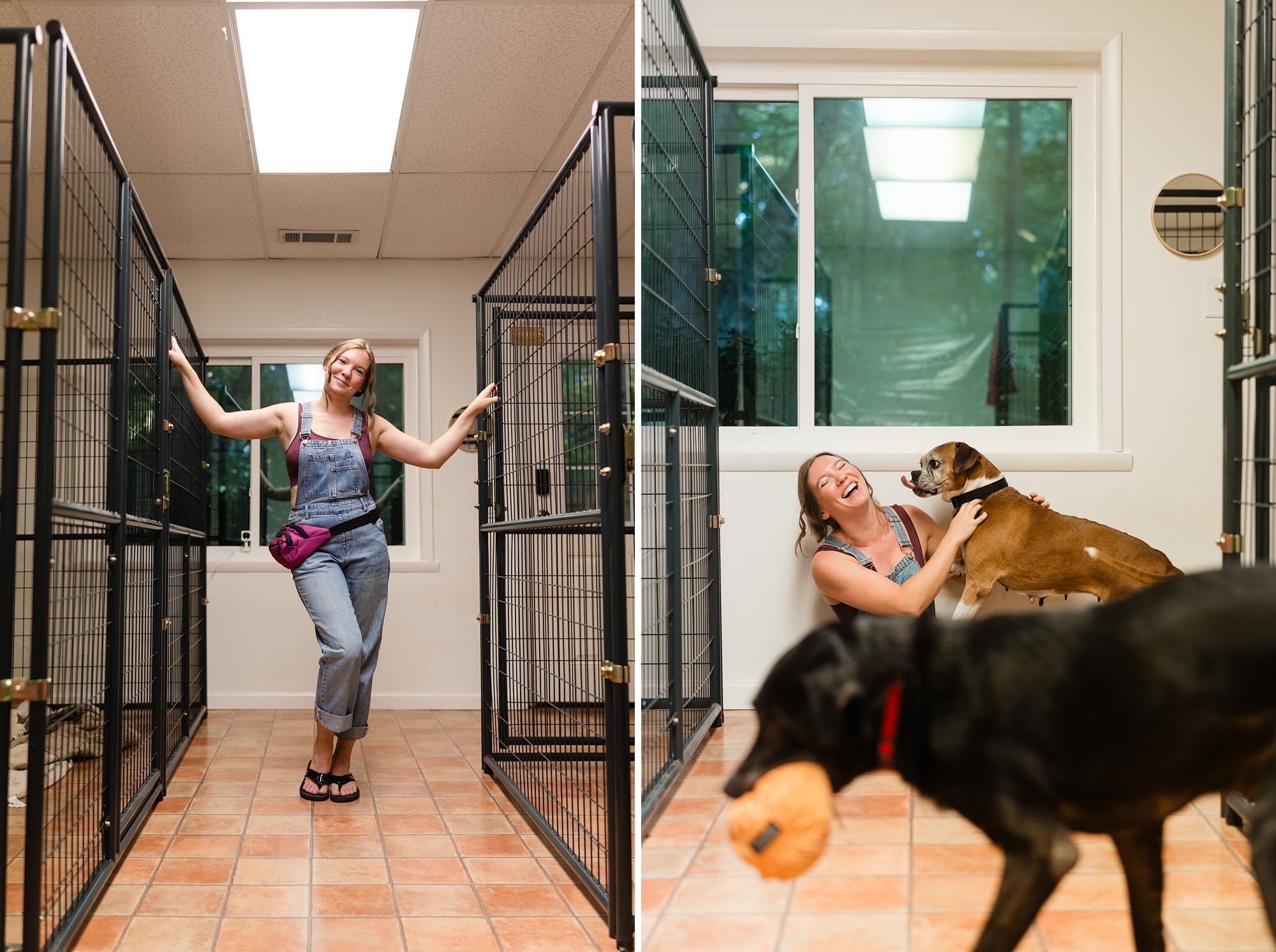 foster dogs athens georgia photographer